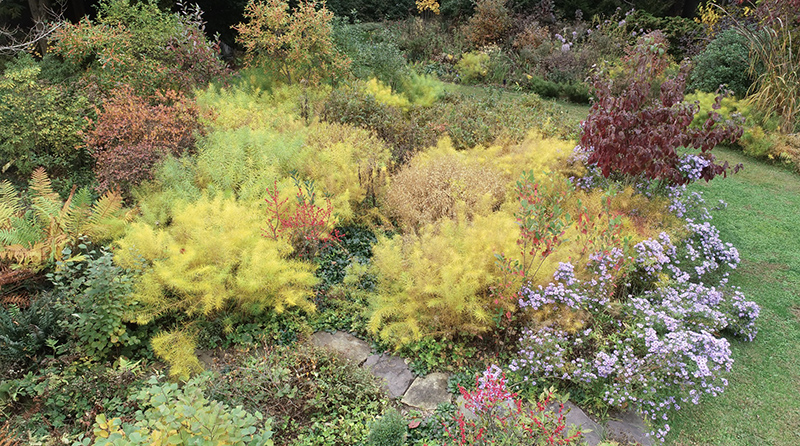 layers in the
      autumn landscape