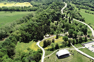 aerial
                                view Pavillion to Kentucky Coffee Tree
                                rondel