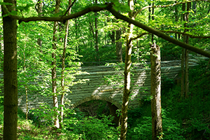 dry laid
                                limestone bridge by Jim Walters and
                                Cecil Aguilar
